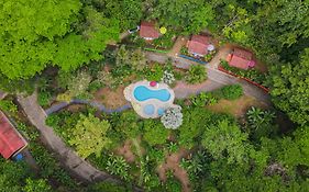 Selva Color - Forest & Beach Ecolodge
